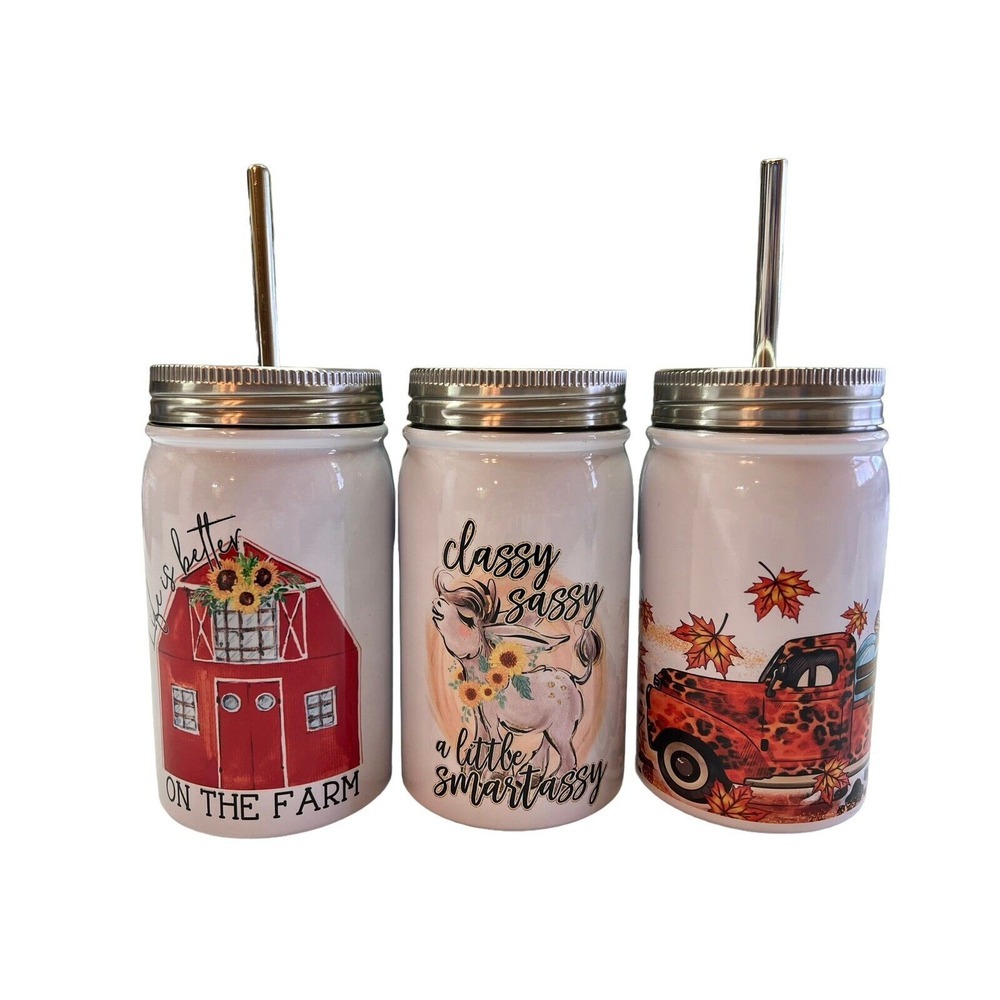 Set‎ of 3 Stainless Steel Mason Jar Tumblers with 3 Lids and 2 Metal Straws